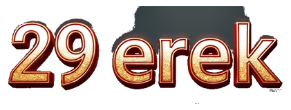 29 erek logo
